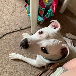 Meet your Posher, Dori